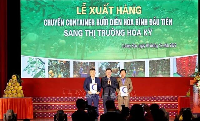 Viet Nam Exports First Batch of “Dien” Pomelos to U.S.