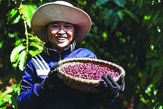 Enhancing Vietnamese agricultural products through strategic brand buildin