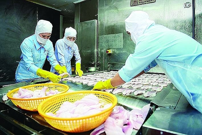 It is necessary to solve the problem of quality and market for sustainably seafood export