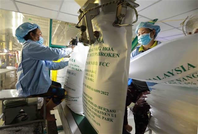 2023 export success boosts rice sector outlook
