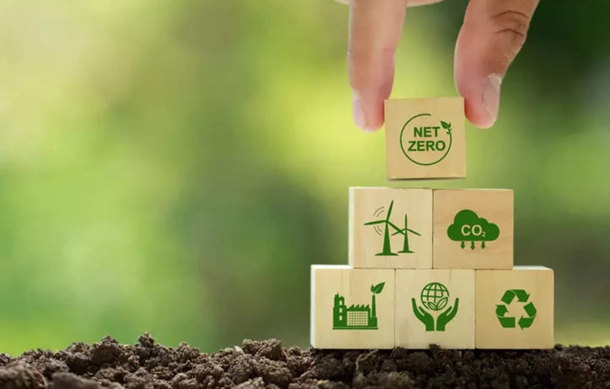 Vietnam seals major carbon credit deal, fetching $53 million