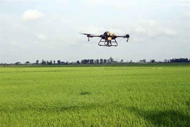 WB-funded agriculture project benefits 29,000 farmer households in Soc Trang