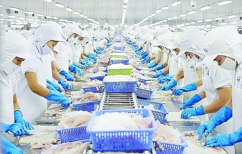 Seafood export enterprises navigate through "storms"