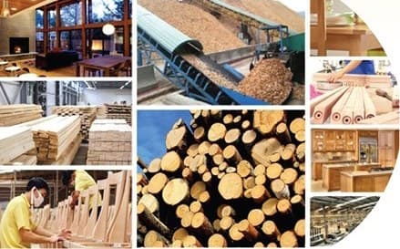 Forestry Sector Targets US$17.5 Billion in Export Revenue in 2024