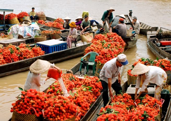 Steering Tien Giang Tourism Toward Sustainable Development