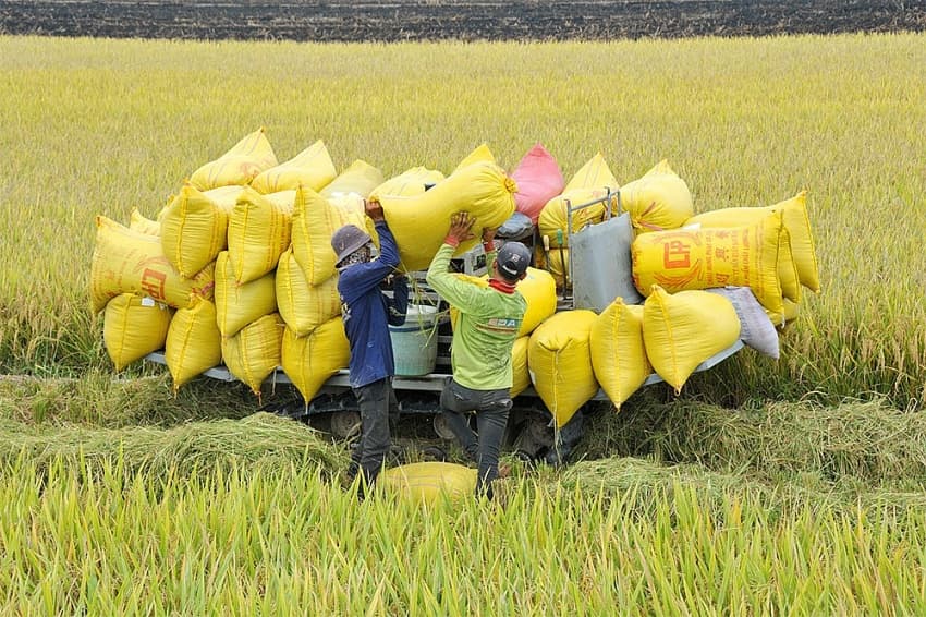 Agro-forestry-fishery exports see bright prospects