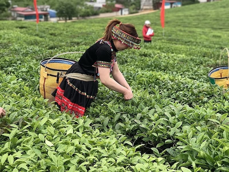 Where is the position of Vietnamese tea stand in major markets around the world?