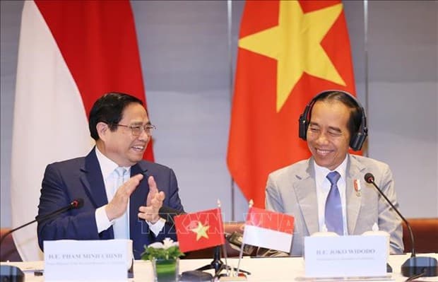 Vietnam, Indonesia eye stronger economic, trade ties