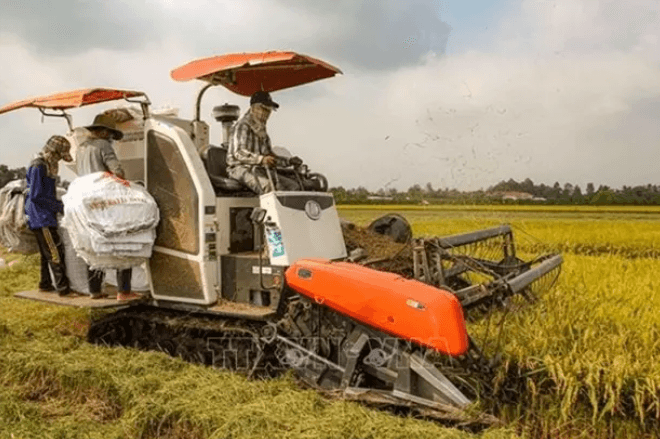 Italian firms seek to boost partnership in agricultural mechanisation in Vietnam: Online seminar