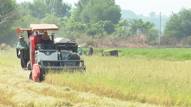 Italian firms seek partners to enhance partnership in Vietnam's agricultural mechanisation