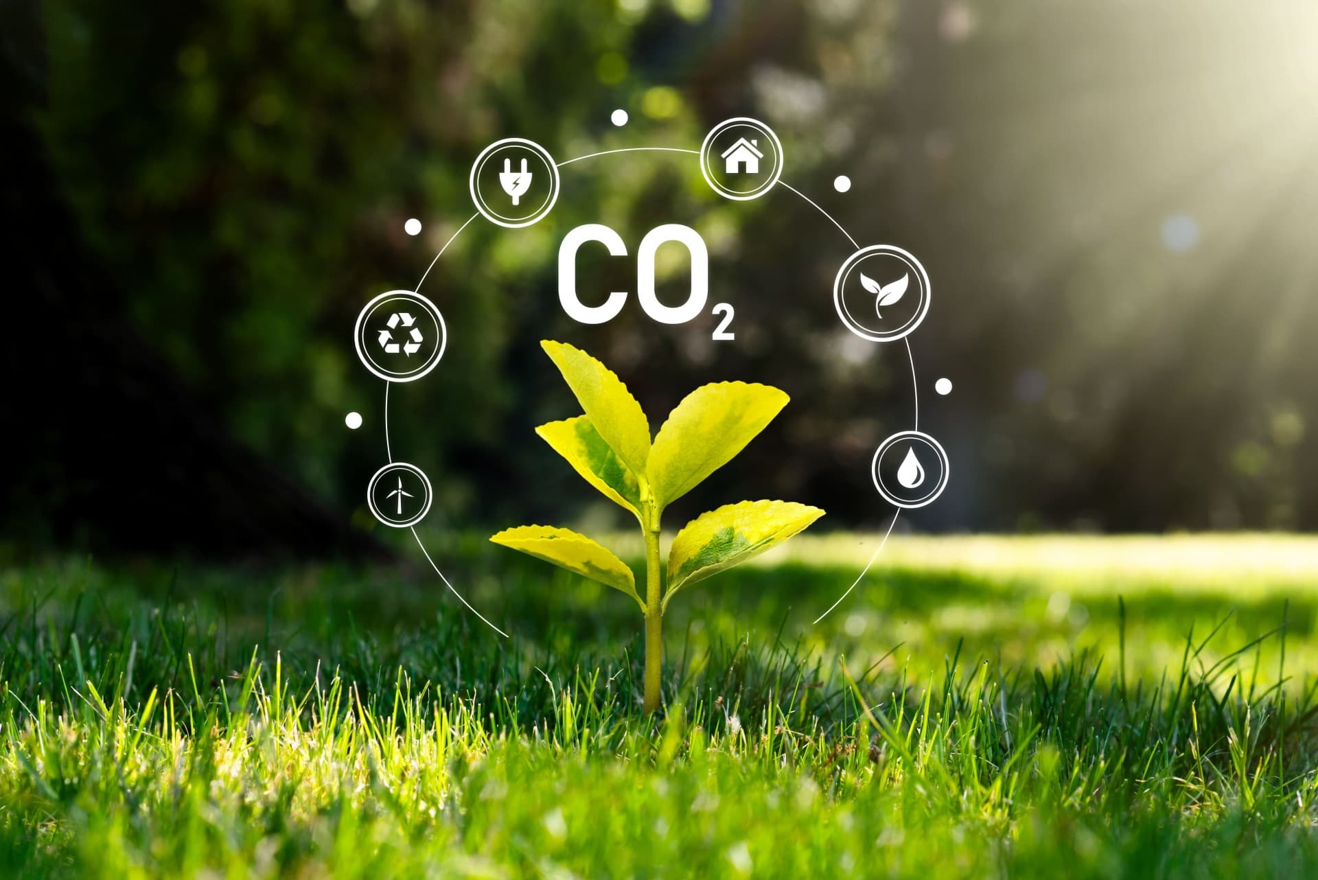 Vietnam exceeds decarbonisation rate targets set by Nationally Determined Contributions