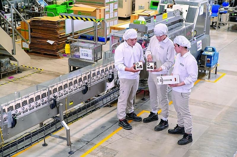Foreign direct investment enterprises gain confidence and momentum from improved business environment