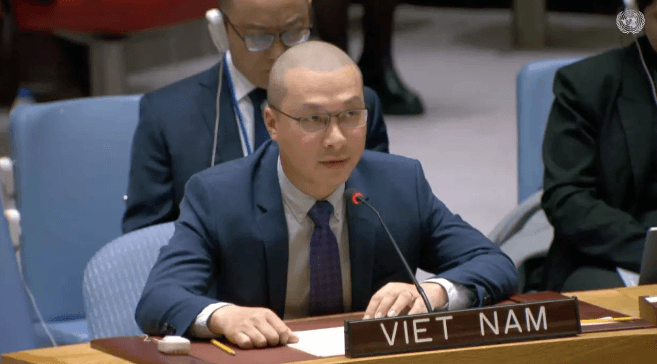 Vietnam renews appeal for immediate ceasefire in Gaza Strip: Diplomat to UN