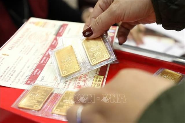 VN should consider removing monopolies in gold import and production