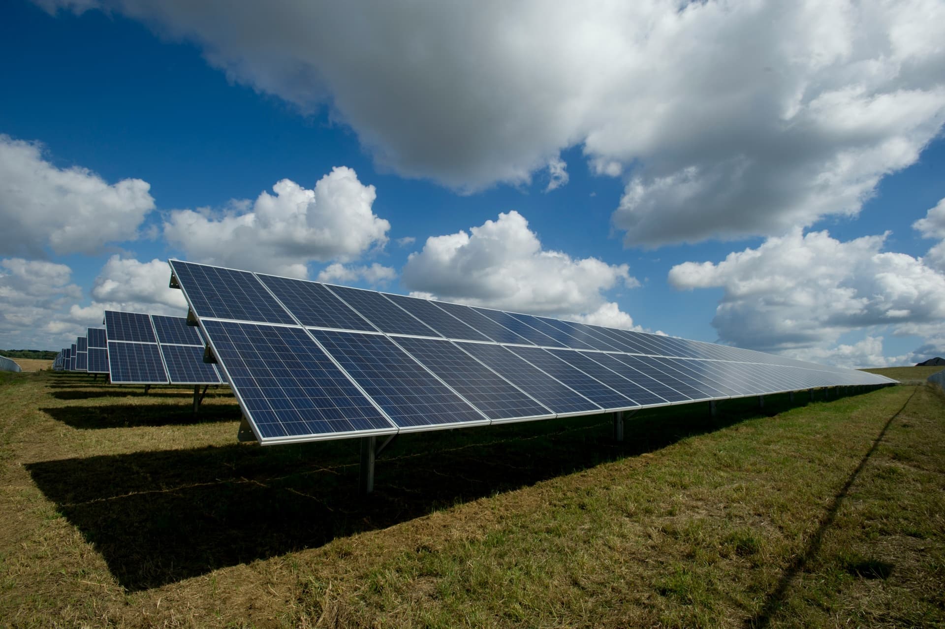 BCG Energy ramps up capital investment for renewable energy ventures