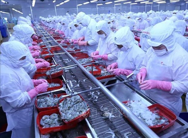 Vietnam fully taps CPTPP to push agro-forestry-fishery exports