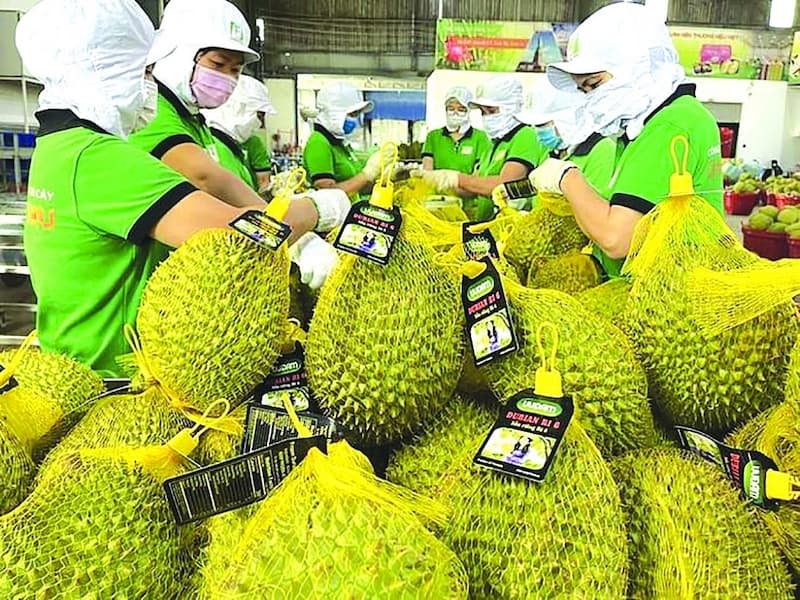 Unlocking the vast potential for Vietnam's exports to China