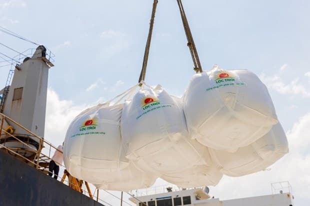 Viet Nam Wins Contracts to Export Rice to Indonesia