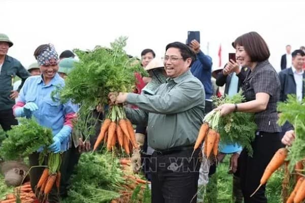 Prime Minister visits agricultural production models of Hai Duong