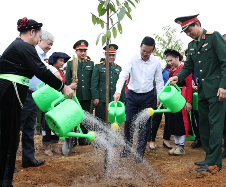 President launches 2024 tree planting festival