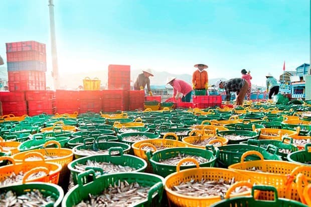National programme on protection and development of aquatic resources approved