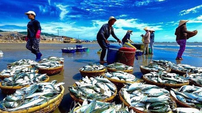 National programme on protecting and developing aquatic resources approved