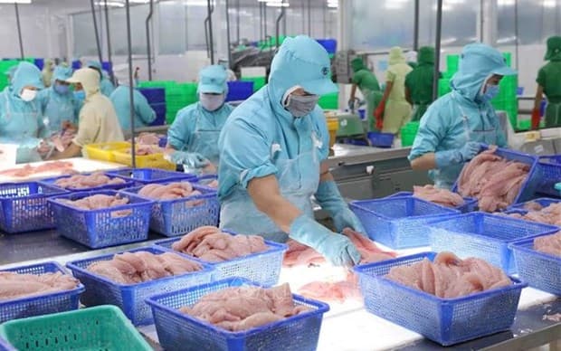 Vietnam"s aquatic product exports expected to recover in 2024