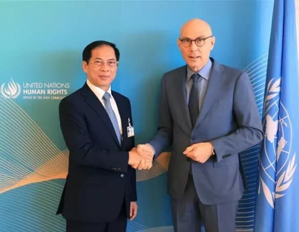 FM Bui Thanh Son meets UN High Commissioner for Human Rights, foreign officials in Geneva