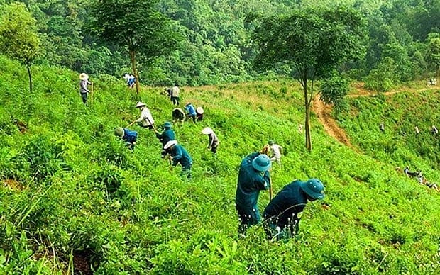 Project to develop multi-use values of forest ecosystem to 2030 approved
