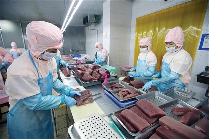 Will Vietnam's seafood pass the IUU inspection in April 2024?