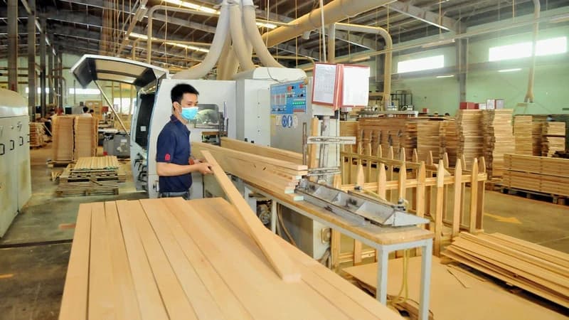 Forestry exports up 47% in Jan-Feb