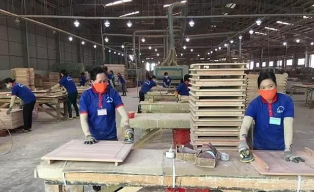Wood industry aims to export 15.2 billion USD in 2024: Department of Forestry