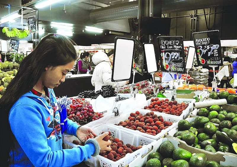 Building Vietnamese product brands abroad: Lessons from persistence
