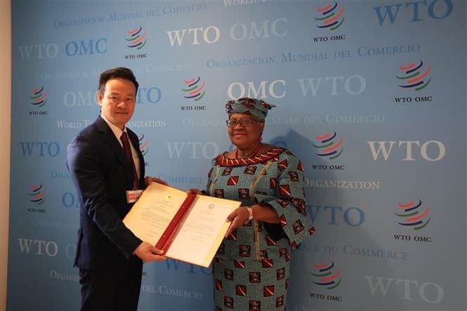 WTO acknowledges Vietnam's contributions to multilateral trade system