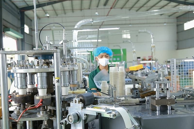 Numerous growth drivers, opening opportunities for enterprises