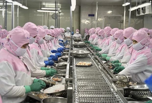 Vietshrimp 2024: Measures sought to recover shrimp industry