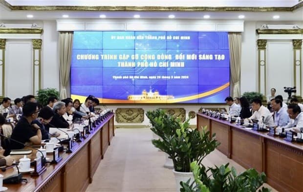 Ho Chi Minh City has ample room for innovation, start-up development: Official