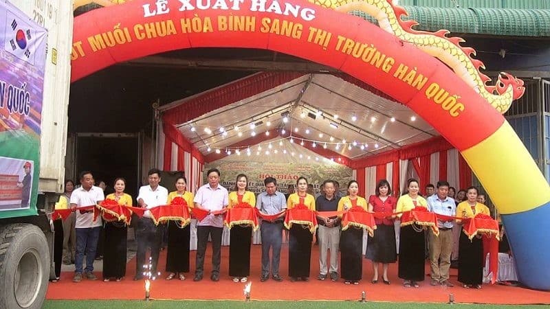 Hoa Binh exports pickled chilli peppers to Republic of Korea