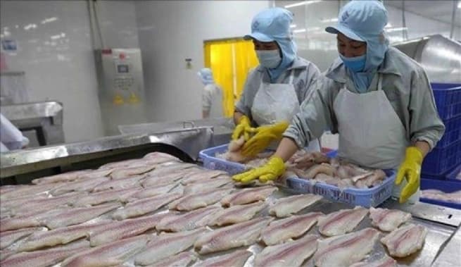 Pangasius Exports to US Market Increased, to China Decreased in First 2 Months