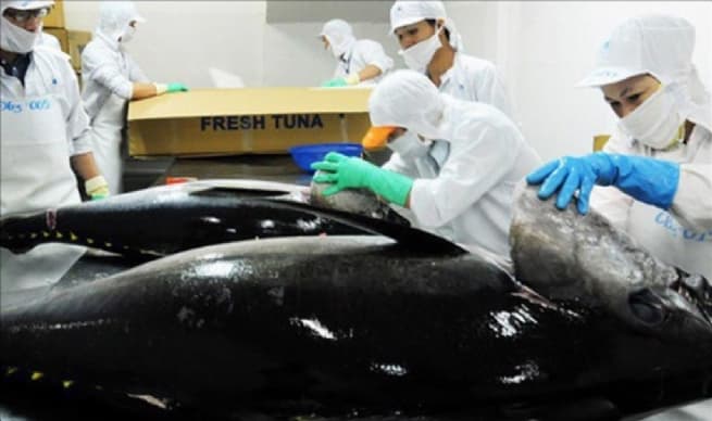 Portugal Ramps up Tuna Imports from Vietnam in First two Months of 2024
