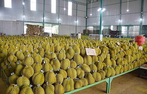 Vietnam’s agricultural products appeal to foreign customers