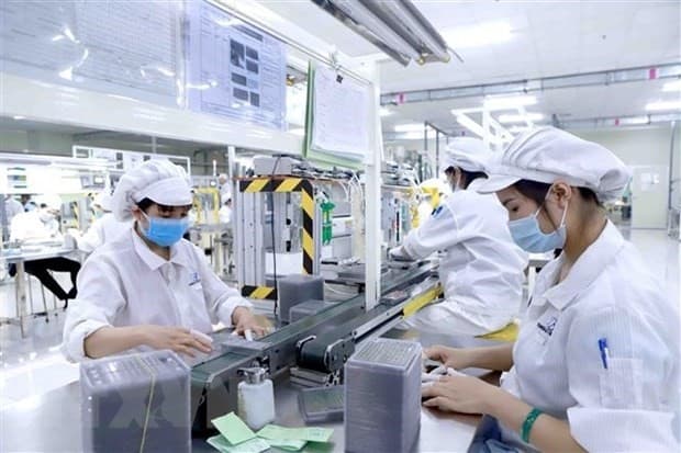 MATRADE Urges Vietnamese Businesses to Continue Engaging in Regional Growth