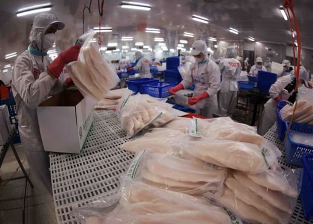 Tra fish export to UAE jumps 67% in Q1