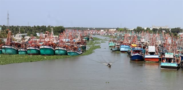IMPORT-EXPORT Enterprises want clearer regulations on seafood production