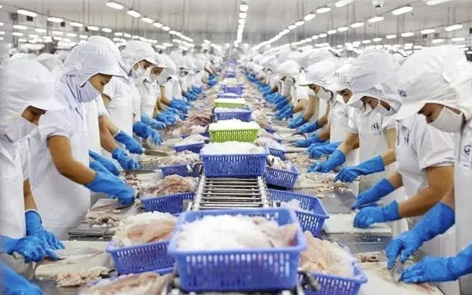 RoK burgeoning market for Vietnam’s agro-forestry-fisheries exports