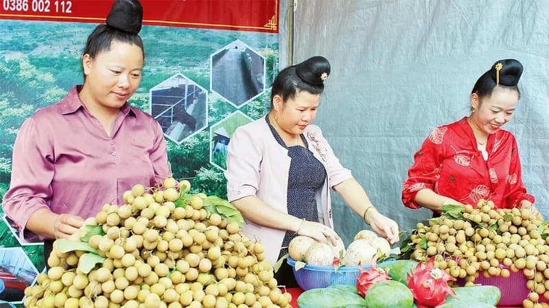 Number of agricultural businesses records positive increase