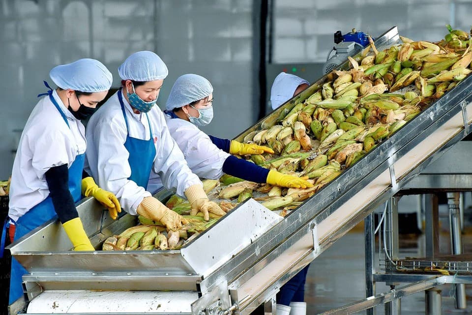 Vietnamese fruit and vegetable exports see sharp upturn
