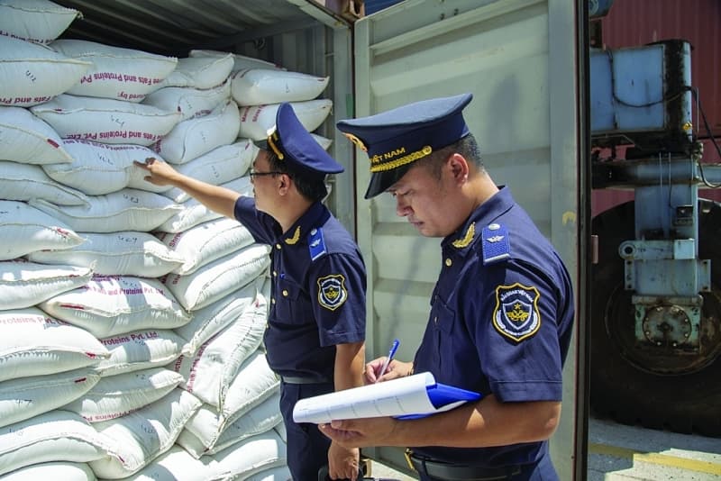 Binh Dinh Customs: revenue collection increases sharply