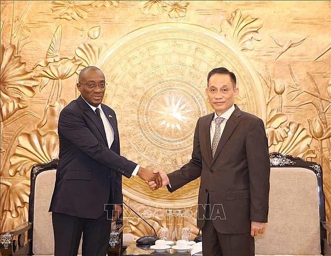 Vietnam, Ivory Coast further deepen friendship, cooperation