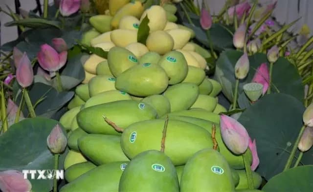 Firms get updates on EU regulations on imported agricultural products, foods: Conference